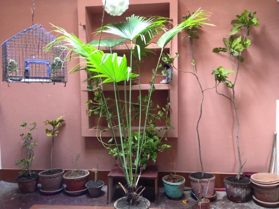 Paradise * Varanasi